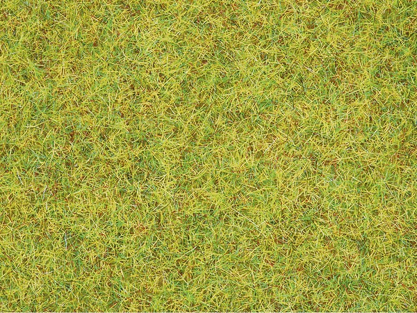 Noch 08310 Scatter Grass Summer Meadow