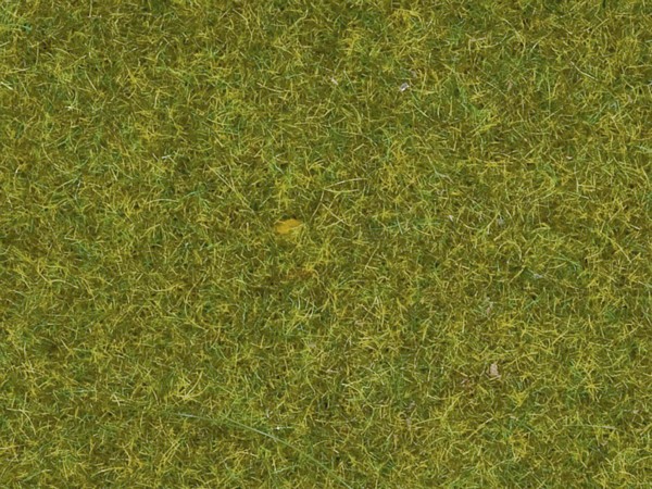 Noch 08312 Scatter Grass Meadow