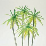 Preiser 18600 Palm trees 4 pieces in Kit